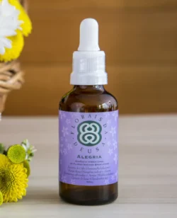 FLORAL ALEGRIA | Para Depressão