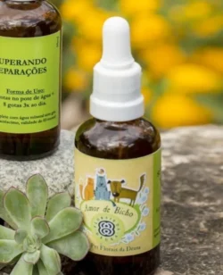FLORAL PET SUPERANDO SEPARAÇÕES